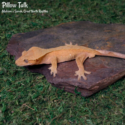Pillow Talk - 43.6g, male - Image 4